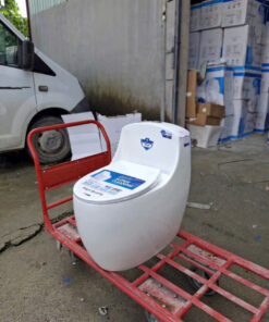 Alternative view of Bồn cầu trứng AQUA 6000