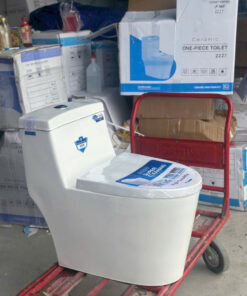 Bồn cầu một khối AQUA 2242